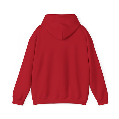 Drayze Streetwear Hoodie - Heavy Blend Sweatshirt
