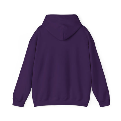 Drayze Streetwear Hoodie - Heavy Blend Sweatshirt