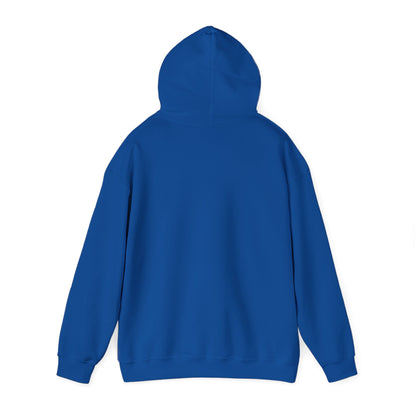 Drayze Streetwear Hoodie - Heavy Blend Sweatshirt