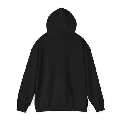 Drayze Streetwear Hoodie - Heavy Blend Sweatshirt
