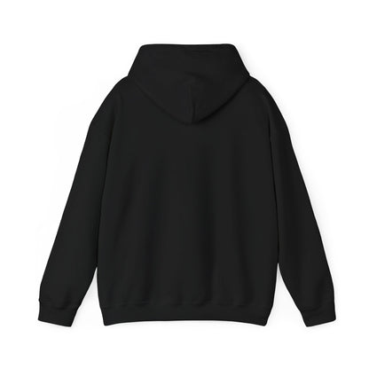 Drayze Streetwear Hoodie - Heavy Blend Sweatshirt