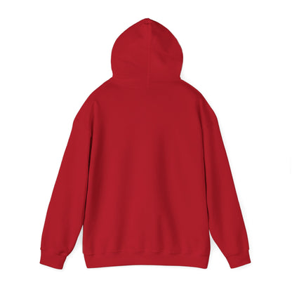 Drayze Streetwear Hoodie - Heavy Blend Sweatshirt